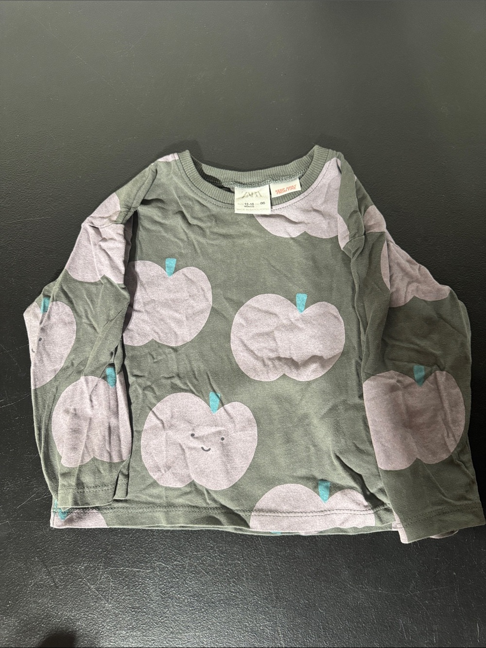 Zara grey  Long Sleeve Tee with Lavender Apple Print